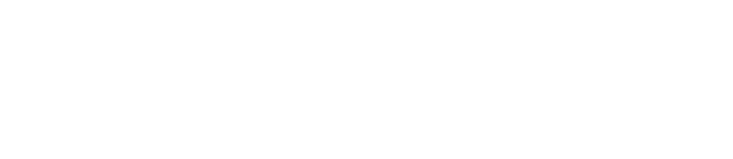 Bluesight_Logo_White